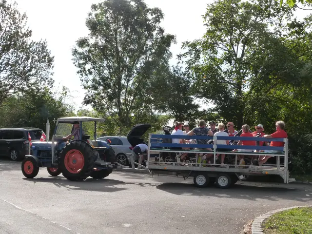 Foto: Vanessa Wittmann