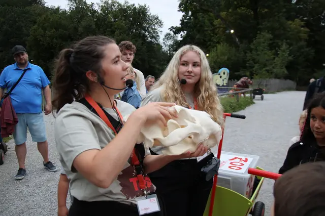 Zooführungen: Steffi und Eva mit Skelett eines Löwen.