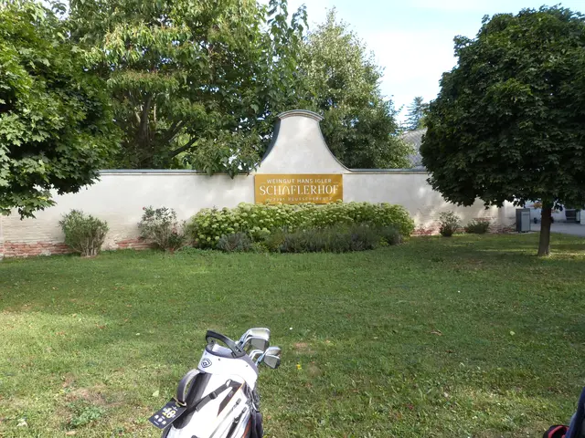 Foto: Vanessa Wittmann