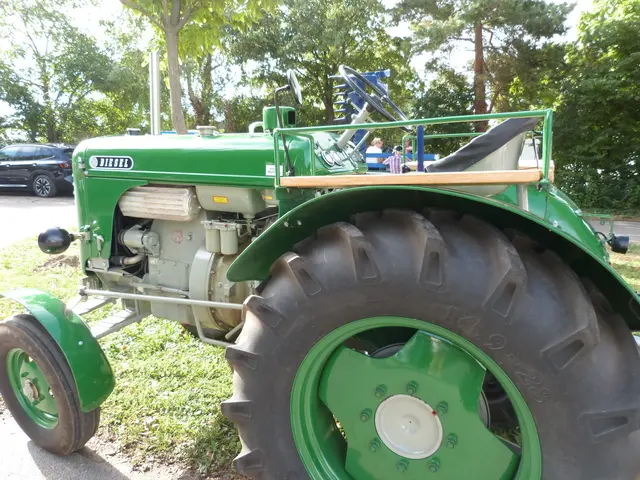 Foto: Vanessa Wittmann