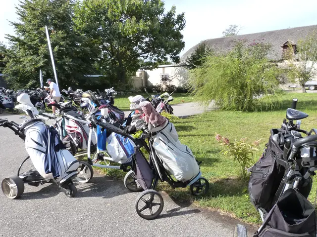 Foto: Vanessa Wittmann