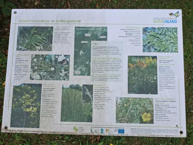 Infotafel an der Straßenkreuzung Kalteneckerstraße und Straße nach Redlschlag