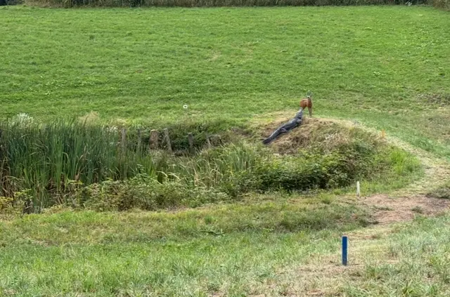 Insgesamt schossen die Schützinnen und Schützen auf 40 verschiedene Tiere verteilt auf dem Gelände. | Foto: MeinBezirk / Leonie Herrmann