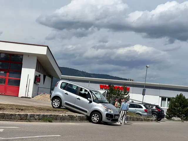 Ein Autofahrer rollte über die Böschung. | Foto: Name d. Fotografen d. Red. bekannt