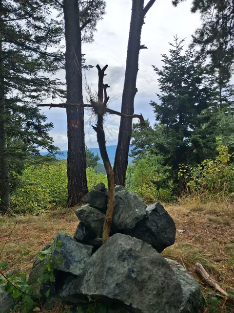 den ich mit einem Kreuz versehen habe