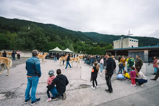 Foto: Pernsteiner