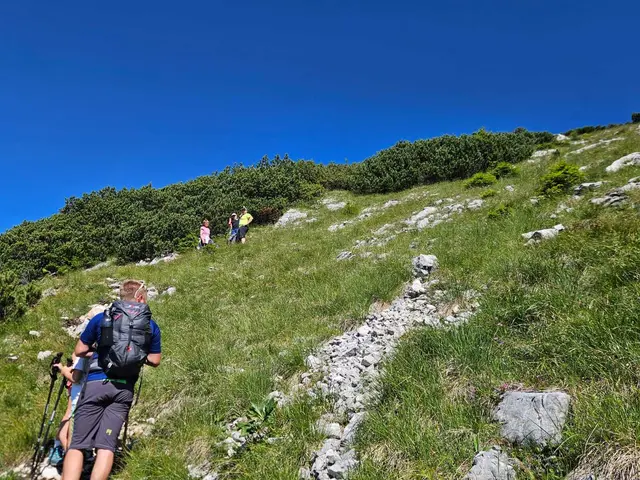 Foto: Alle Fotos: Gerald Bachner, Naturfreunde Palfau