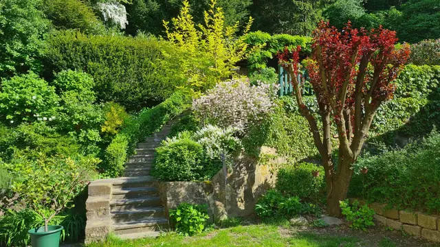 Es grünt so grün in der Oase von Richard Pertschy. | Foto: Pertschy