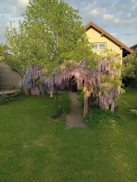 Idyllisch ist es in der Oase von Gerhard Wurzer. | Foto: Wurzer