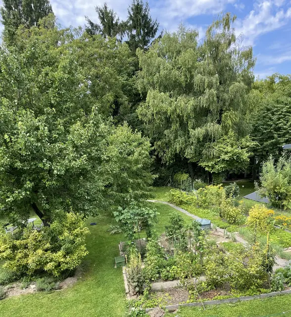 Liselotte Ostermann hegt und pflegt ihre grüne Oase. | Foto: Ostermann