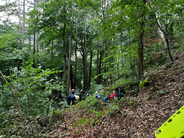 Eine Spaziergängerin war eine steile Böschung hinabgestürzt. | Foto: FF Alland
