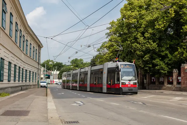 Die Linie 49 kann nach einem Oberleitungsschaden nur verkürzt verkehren. (Archiv) | Foto: Manfred Helmer/Wiener Linien