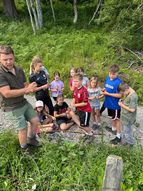 Foto: Alle Fotos: Gerald Bachner, Naturfreunde Palfau
