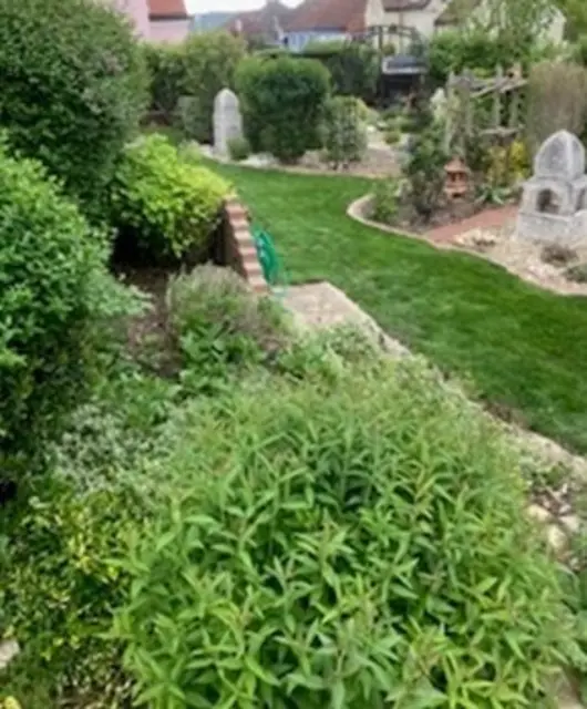 Familie Schimpf aus dem Bezirk Mistelbach hat wahrlich einen grünen Daumen. | Foto: Schimpf