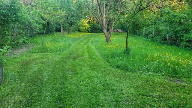 "Ganz wichtig sind mir die großen Nussbäume, die im Sommer den Hof und das Haus beschatten und im Winter die Sonne durchlassen. Ehrlicherweise muss man erwähnen, dass man bei so großen Schattenspendern auf die Eltern- oder Großelterngeneration angewiesen ist. Nicht jeder weiß das zu schätzen." | Foto: Rötzer