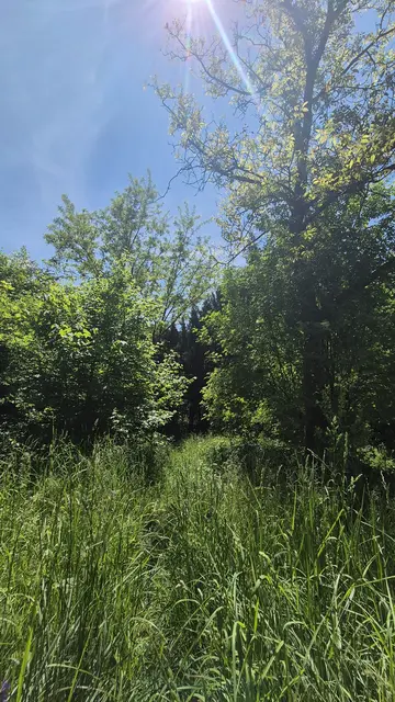 In Purkersdorf liebt man es naturnah. | Foto: Straube