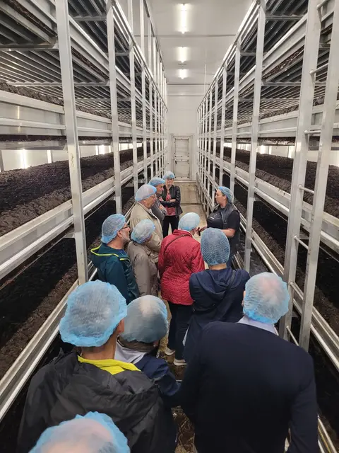 Zahlreiche Besucherinnen und Besucher nutzten den Tag der offenen Tür, um einen Blick hinter die Kulissen von Tyrolpilz in Mils zu werfen. | Foto: Myzelia Produktions- & Vertriebs GmbH