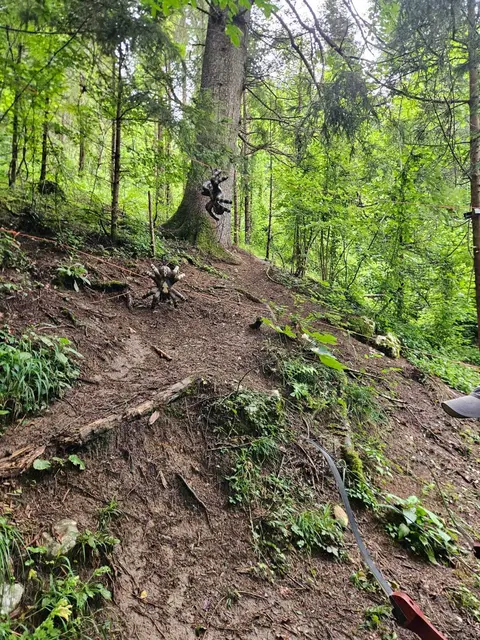 Foto: Alle Fotos: Gerald Bachner, Naturfreunde Palfau