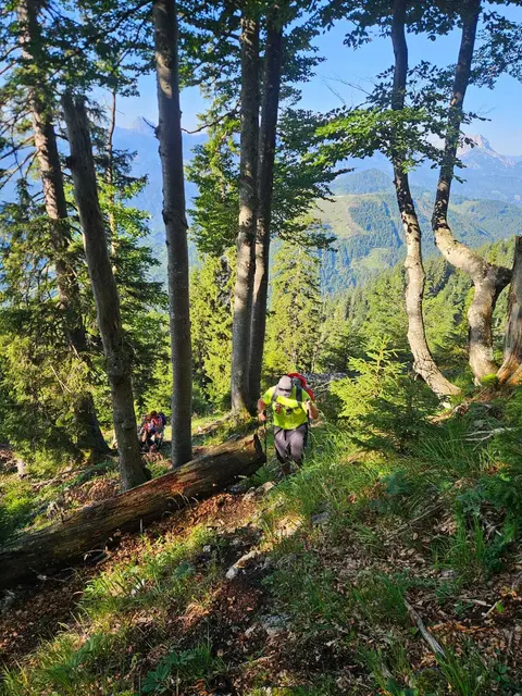 Foto: Alle Fotos: Gerald Bachner, Naturfreunde Palfau