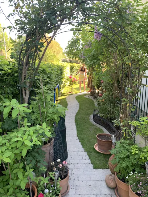 Grün wohin das Auge blickt | Foto: Tobner-Stattersdorfer