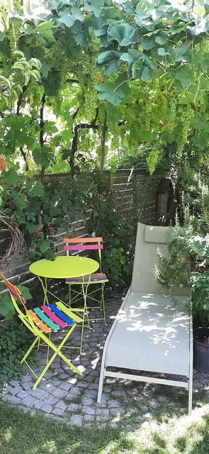 Der Klima-Garten von Rudolf Kraxner im Bezirk Tulln. | Foto: Kraxner