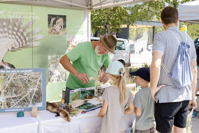 Großes "Fest der Wildnis": Bei strahlendem Sommerwetter verwandelte sich das Haus der Wildnis in Lunz in einen Treffpunkt für Naturbegeisterte, Wissenshungrige und alle Familien.