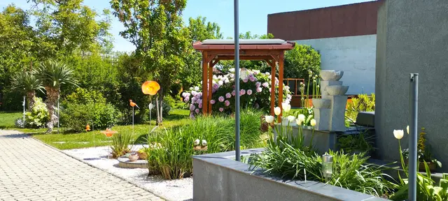 So grünt es in der Oase von Anton Hartl in Fischamend. | Foto: Anton Hartl