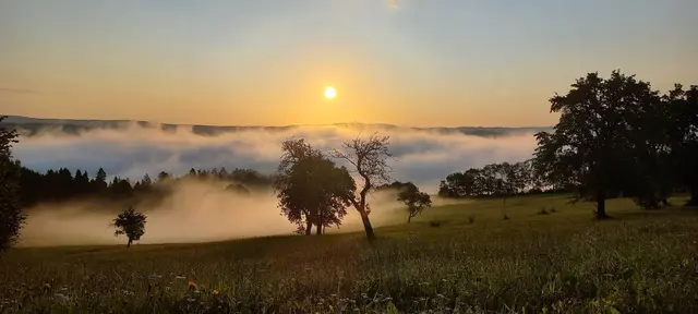 Die erste Septemberwoche zeigt sich typisch spätsommerlich – mit einem Mix aus Sonne, Regen und Gewittern. | Foto: Sabine L