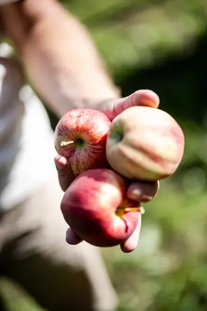 Foto: AMT/Steinlechner