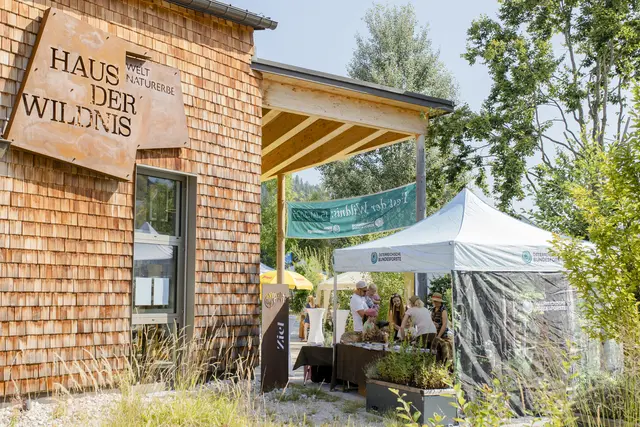 Großes "Fest der Wildnis": Bei strahlendem Sommerwetter verwandelte sich das Haus der Wildnis in Lunz in einen Treffpunkt für Naturbegeisterte, Wissenshungrige und alle Familien.