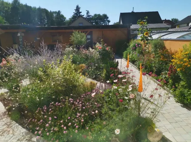 Die Lieblingsbeschäftigung der Familie: Insekten und Vögel beobachten. | Foto: Reiterer