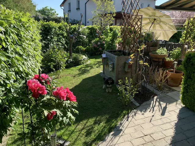 Foto: Tobner-Stattersdorfer