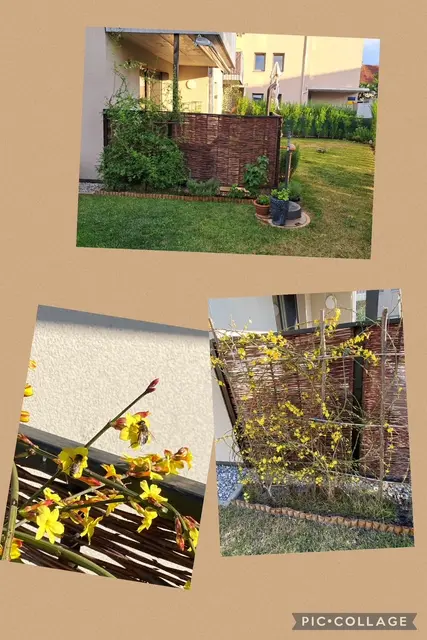 Vom Frühlings bis in den Sommer – so schön ist es im Garten von Sabrina Hasel und Michael Kain. | Foto: Hasel/Kain