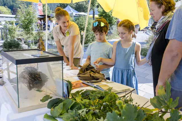 Großes "Fest der Wildnis": Bei strahlendem Sommerwetter verwandelte sich das Haus der Wildnis in Lunz in einen Treffpunkt für Naturbegeisterte, Wissenshungrige und alle Familien.