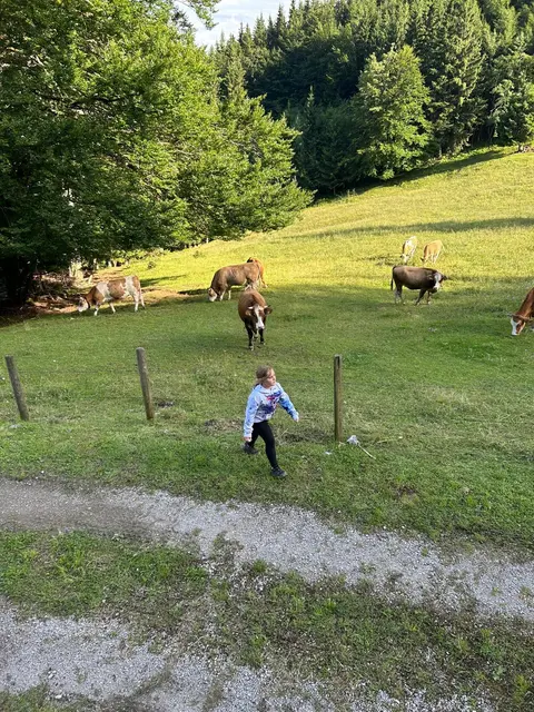 Foto: Alle Fotos: Gerald Bachner, Naturfreunde Palfau