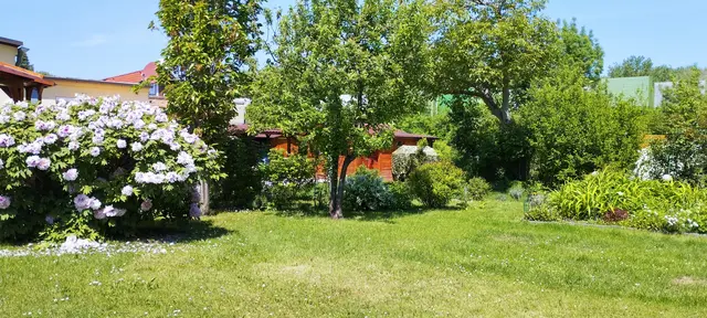 Bäume, Sträucher und Naturwiese – dieser Garten ist für die Zukunft gerüstet. | Foto: Anton Hartl