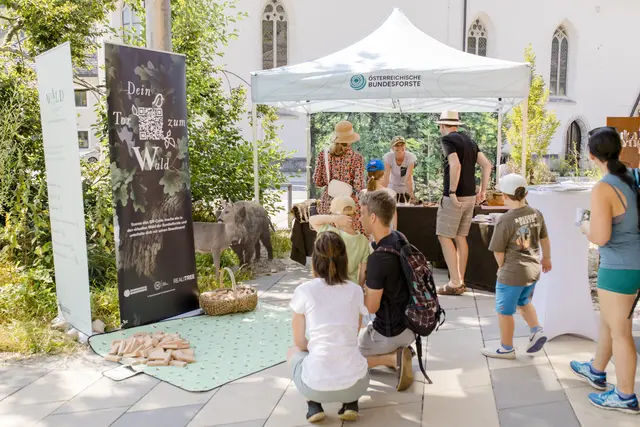 Großes "Fest der Wildnis": Bei strahlendem Sommerwetter verwandelte sich das Haus der Wildnis in Lunz in einen Treffpunkt für Naturbegeisterte, Wissenshungrige und alle Familien.