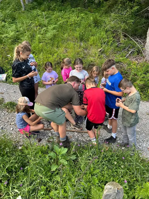 Foto: Alle Fotos: Gerald Bachner, Naturfreunde Palfau