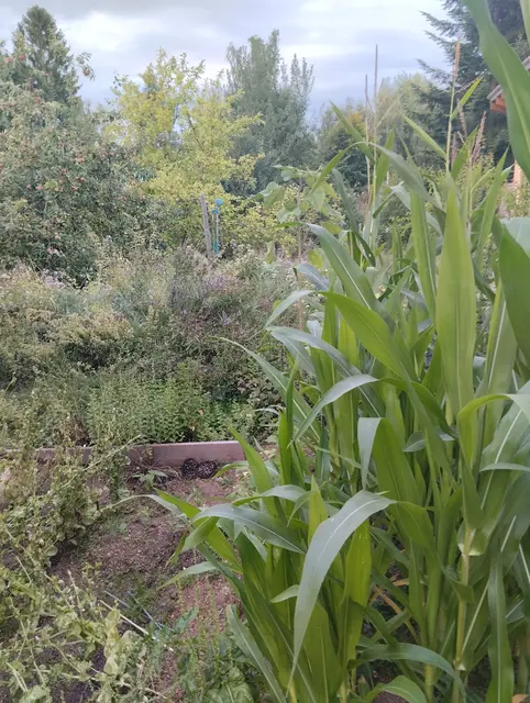 Klimafit ist er auch - findet Stephan Kowarik. | Foto: Kowarik