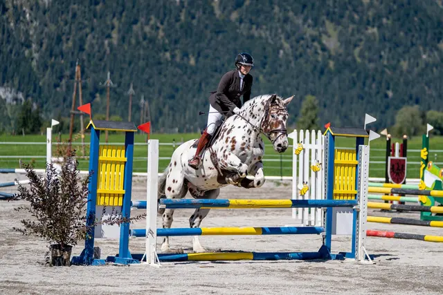 Spannende Momente und sportliche Höchstleistungen beim Springen. | Foto: MHS Photography-Mona