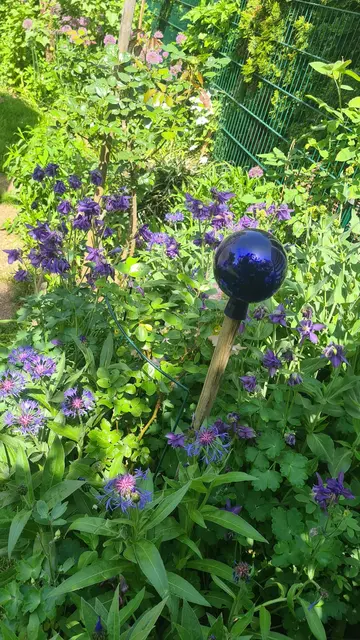 So schön ist der Naturgarten von Maria Hoffmann. | Foto: Hoffmann