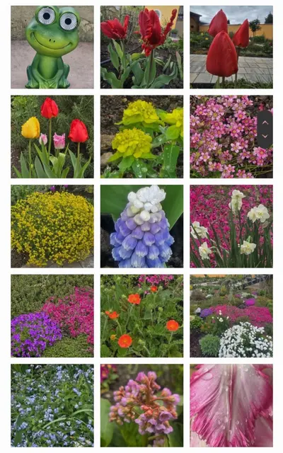 Vor drei Jahren haben sich Astrid Reiterer und Familie Lippa dazu entschlossen, nur mehr Wege und Blumen anzulegen. | Foto: Reiterer