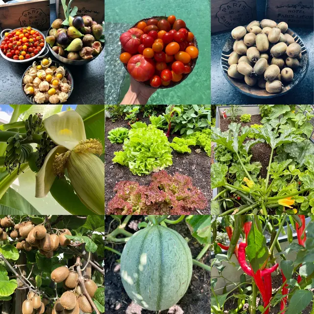 "Da wir große Befürworter sind, Gärten klimafit zu machen, selbst anzubauen und va. nicht jede Grünfläche in den Städten zu verbauen, würden wir heuer gerne wieder bei eurem Bewerb mitmachen. | Foto: Ibser