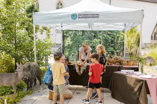 Großes "Fest der Wildnis": Bei strahlendem Sommerwetter verwandelte sich das Haus der Wildnis in Lunz in einen Treffpunkt für Naturbegeisterte, Wissenshungrige und alle Familien.