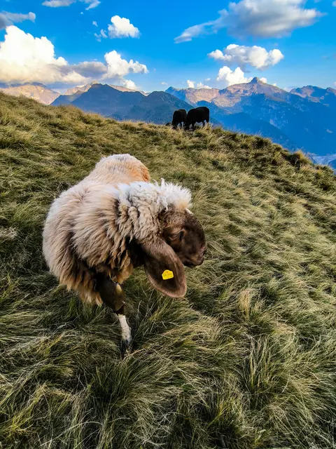 Werde Regionaut und veröffentliche deine eigenen Schnappschüsse. | Foto: Michael Smolle