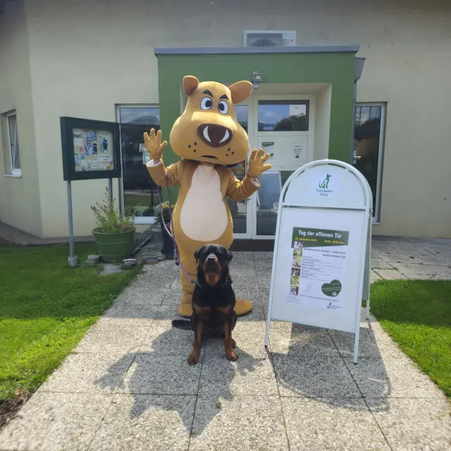Das Linzer Tierheim lädt am 20. September zum Tag der offenen Tür. | Foto: Tierheim Linz