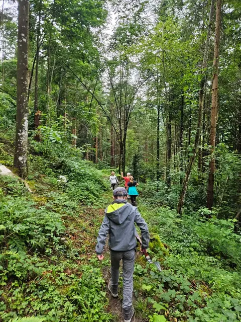 Foto: Alle Fotos: Gerald Bachner, Naturfreunde Palfau