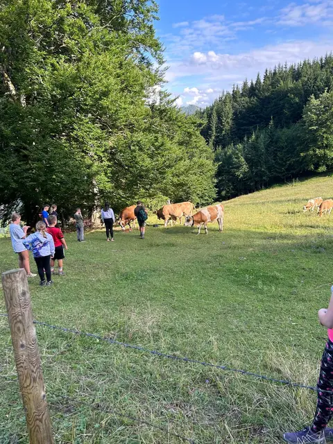 Foto: Alle Fotos: Gerald Bachner, Naturfreunde Palfau
