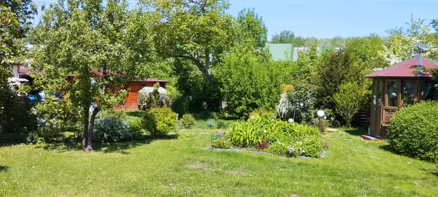 Die grüne Oase von Anton Hartl. | Foto: Anton Hartl