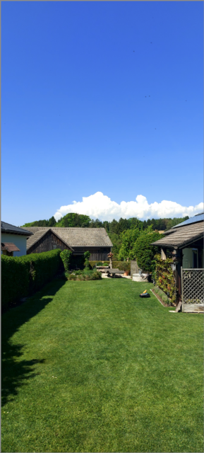 Links die Tür zu den Nachbarn, begrünte Sitzbank mit Überdachung am Teich, daneben Gemüsehochbeet, davor Realexliege uund Naturdusche mit eigenem Brunnen, rechts überdachte Terrasse mit Weinreben zur Beschattung sowie Schopflavendel für die Bienen.
Alles überwacht von, am Robi sitzenden, Waldi... | Foto: Renate &amp; Johann Haberl